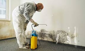 Best Mold Prevention Services  in Cataula, GA